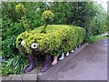 Caterpillar hedge, Fishers Brae, Coldingham