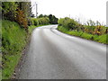 A sharp bend along Loughmacrory Road