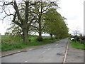 Minor road leading from the A6 to Calthwaite