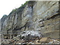 TQ8812 : Rockfall at Fairlight Cliffs by Marathon