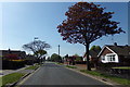 Brasenose Avenue, Gorleston-on-Sea