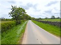 Country road at Newlands Hill