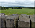 Countryside next to the Leeds and Liverpool Canal