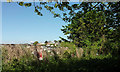 Safety fence by path, Warberry Copse