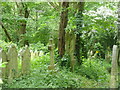 Highgate East Cemetery