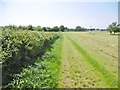 Haselbury Plucknett, footpath