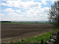 Farmland on Unthank Moor