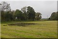 Flooded field, Grimsditch