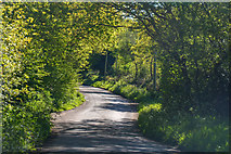 SY0592 : East Devon : Oak Road by Lewis Clarke