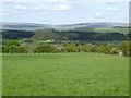 Field to the south of Lazonby