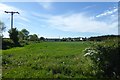 Field beside Newby Lane