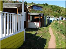 NT9166 : Beach huts, Coldingham Bay by Andrew Curtis