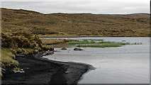 NC3424 : Black peat of Loch nan Sgaraig by Julian Paren