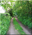 Aylesbeare: Blind Lane