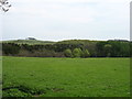 The view towards Shipley Hill