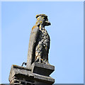 TL4458 : Eagle, St Botolph's Church by Keith Edkins