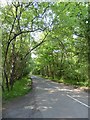 Littleworth Road passing through woodland, Lower Puttenham Common