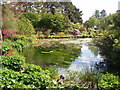 Pond at Oldtown of Leys