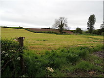 H4869 : Aghagallon Townland by Kenneth  Allen