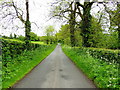 Camowen Road, Donaghanie