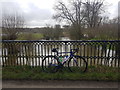 River Thame from Cuddesdon Mill Bridge