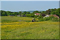 Farmland at Awbridge