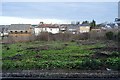 Wasteland between the lines, Sutton Junction