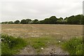 Field off Laughton Common Road