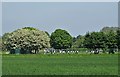 School playing field view