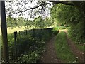 Track behind houses on Lyme Valley Park