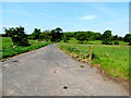 Lane, Castle Irvine Demesne