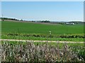 Farmland east of Brownhills