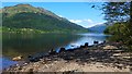 Small beach by Loch Eck