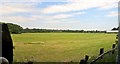 Open view near Home Farm, Dunham Massey