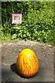 SX4866 : Egg, Buckland Abbey Estate by Derek Harper