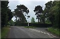 Approaching the lane to Chiddingly