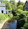 Upstream along Rhiangoll, Felindre, Powys 