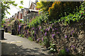 Back alley, Newton Abbot