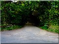 Dark driveway