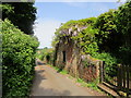 Wisteria covered outbuilding, Holbeck Woodhouse