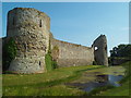 TQ6404 : Pevensey Castle and moat by Malc McDonald