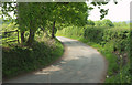 Lane near Combeshead Farm