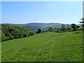 View from Moel y Garnedd