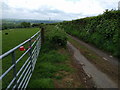 SX6394 : Lane to Bude, near Sticklepath by Rob Purvis