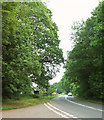 A383 near Newhouse Bridge