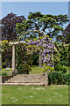 SU8612 : The Pergola, West Dean Gardens by Ian Capper