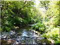 River Valency near Newmills