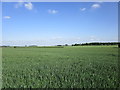 View towards Home Farm