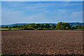 Taunton Deane : Ploughed Field