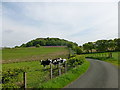 NS6038 : Friesian cattle below Loudoun Hill by Alan O'Dowd